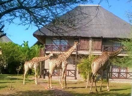 Rhulani Kruger Villa Марлот-Парк Екстер'єр фото